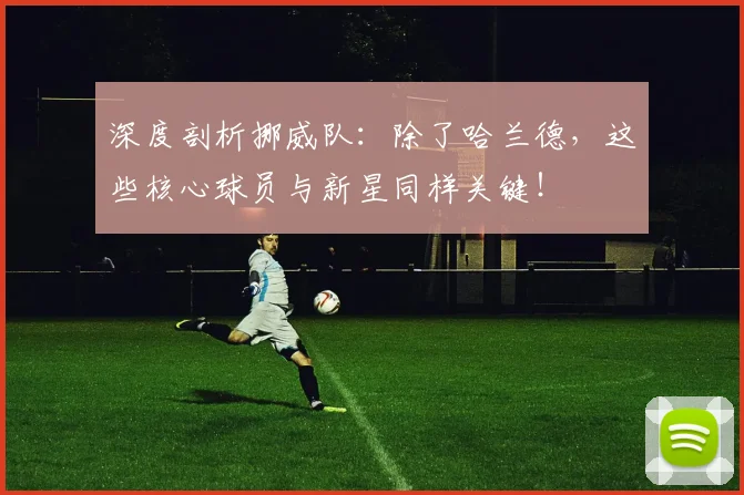 深度剖析挪威队：除了哈兰德，这些核心球员与新星同样关键！