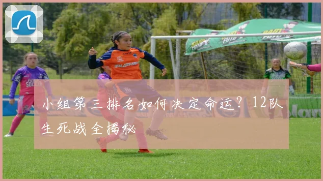 小组第三排名如何决定命运？12队生死战全揭秘